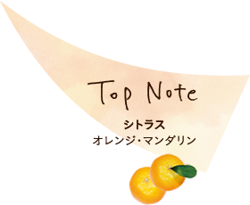 Top Note：シトラス（オレンジ・マンダリン）