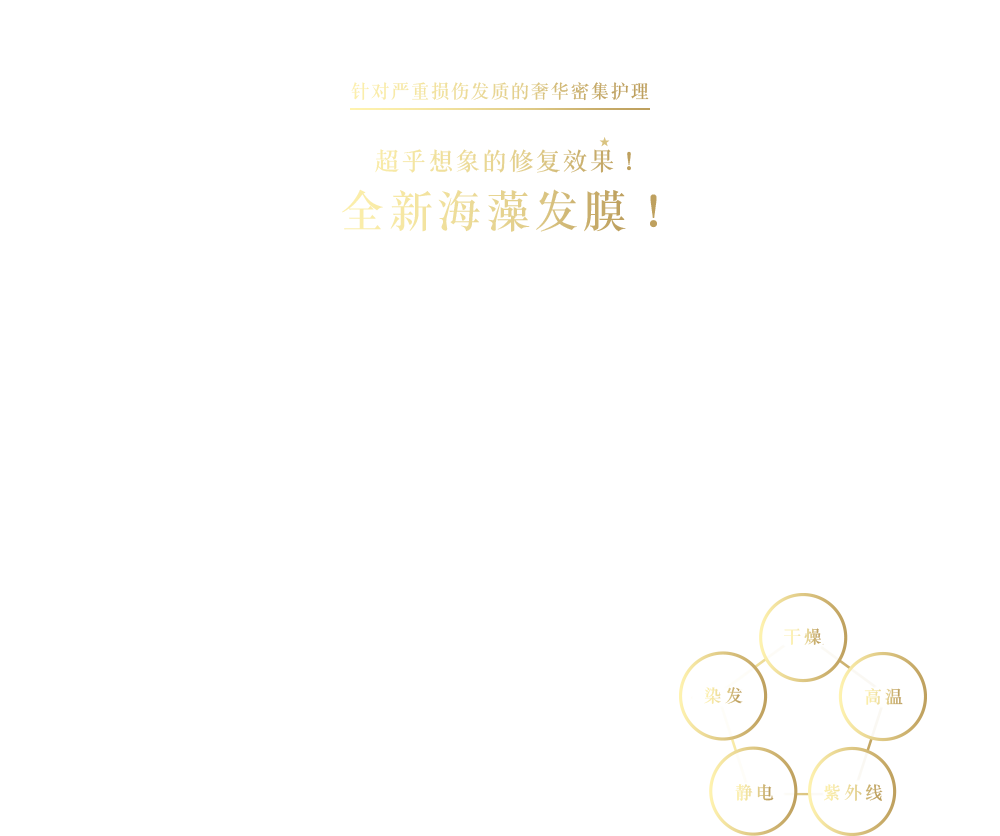 针对严重损伤发质的奢华密集护理 超乎想象的修复效果！ 全新海藻发膜！使头发变得易于打理。【全新】 Je l'aime Amino深层修护海藻发膜