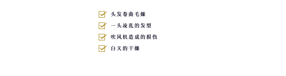 ・头发卷曲毛燥 ・一头凌乱的发型 ・吹风机造成的损伤 ・白天的干燥