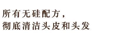 地肌と髪を清らかに洗い上げるALLノンシリコン処方。