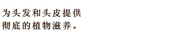 植物のチカラで、地肌と髪のすみずみまでうるおい充満。