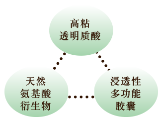 高密着ヒアルロン酸 - 浸透性多機能カプセル - 天然由来アミノ酸誘導体