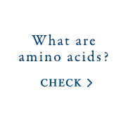 What are amino acids