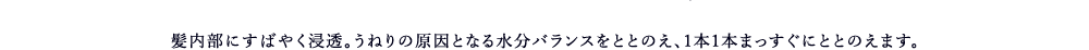 髪内部にすばやく浸透。うねりの原因となる水分バランスをととのえ、1本1本まっすぐにととのえます。