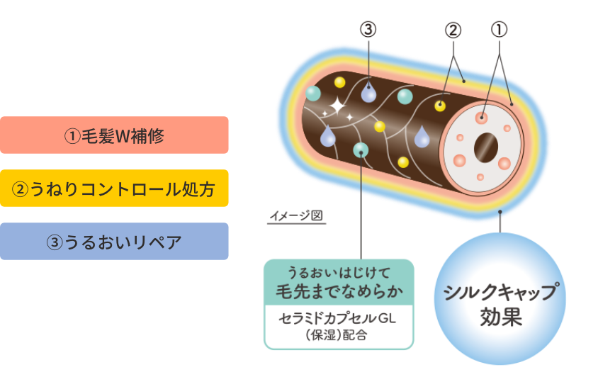 ①毛髪W補修 ②うねりコントロール処方 ③うるおいリペア / うるおいはじけて毛先までなめらか / セラミドカプセルGL（保湿）配合 / シルクキャップ効果