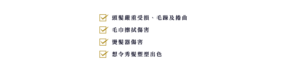 ・頭髮受損、毛躁及捲曲　・毛巾擦拭傷害　・燙髮器傷害　・想令秀髮塑型出色