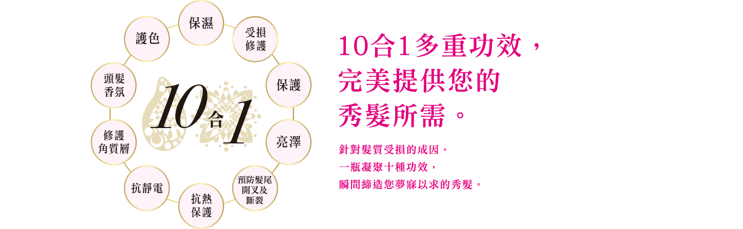 10合1多重功效，完美提供您的秀髮所需。