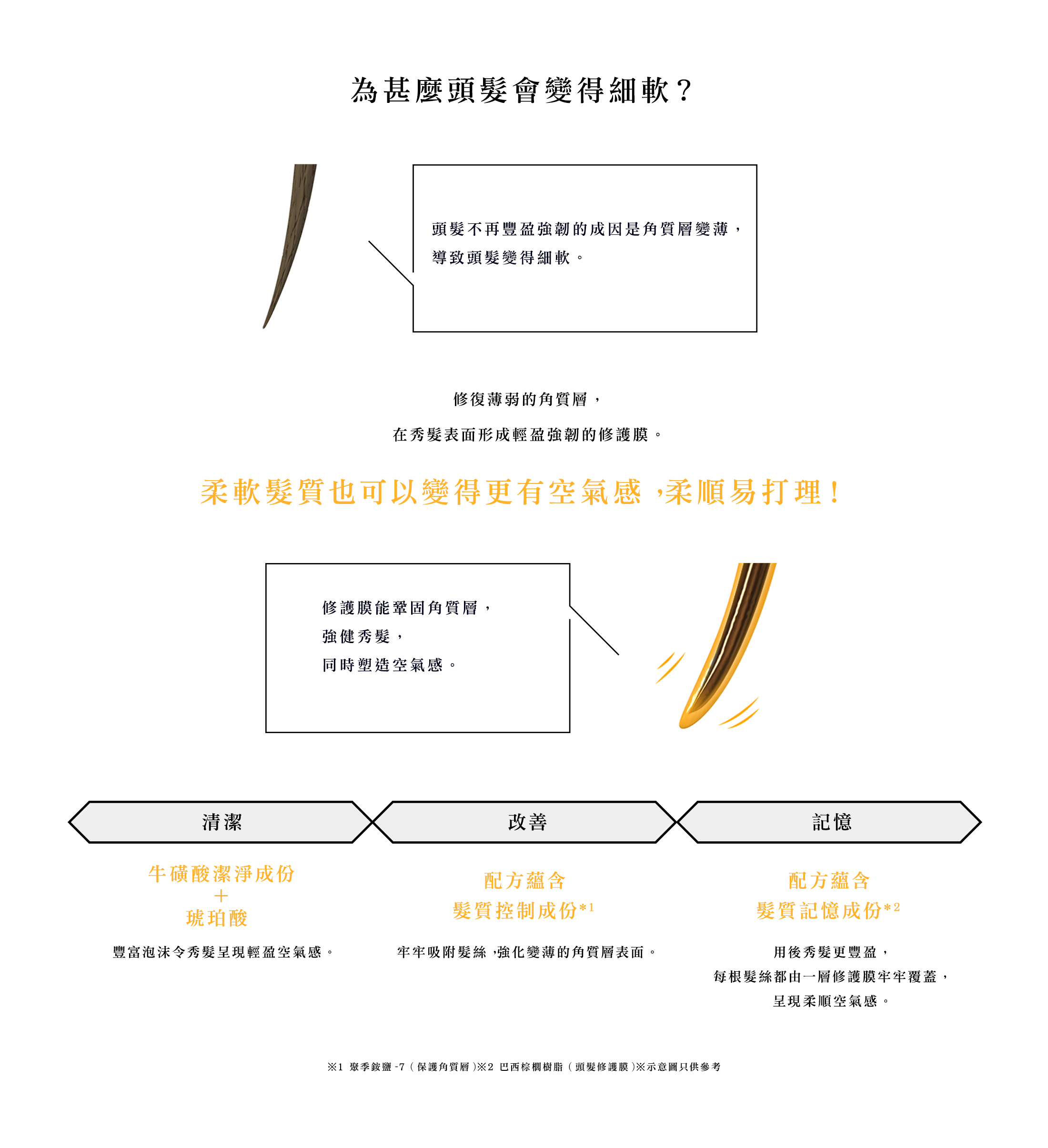 為甚麼頭髮會變得粗硬？