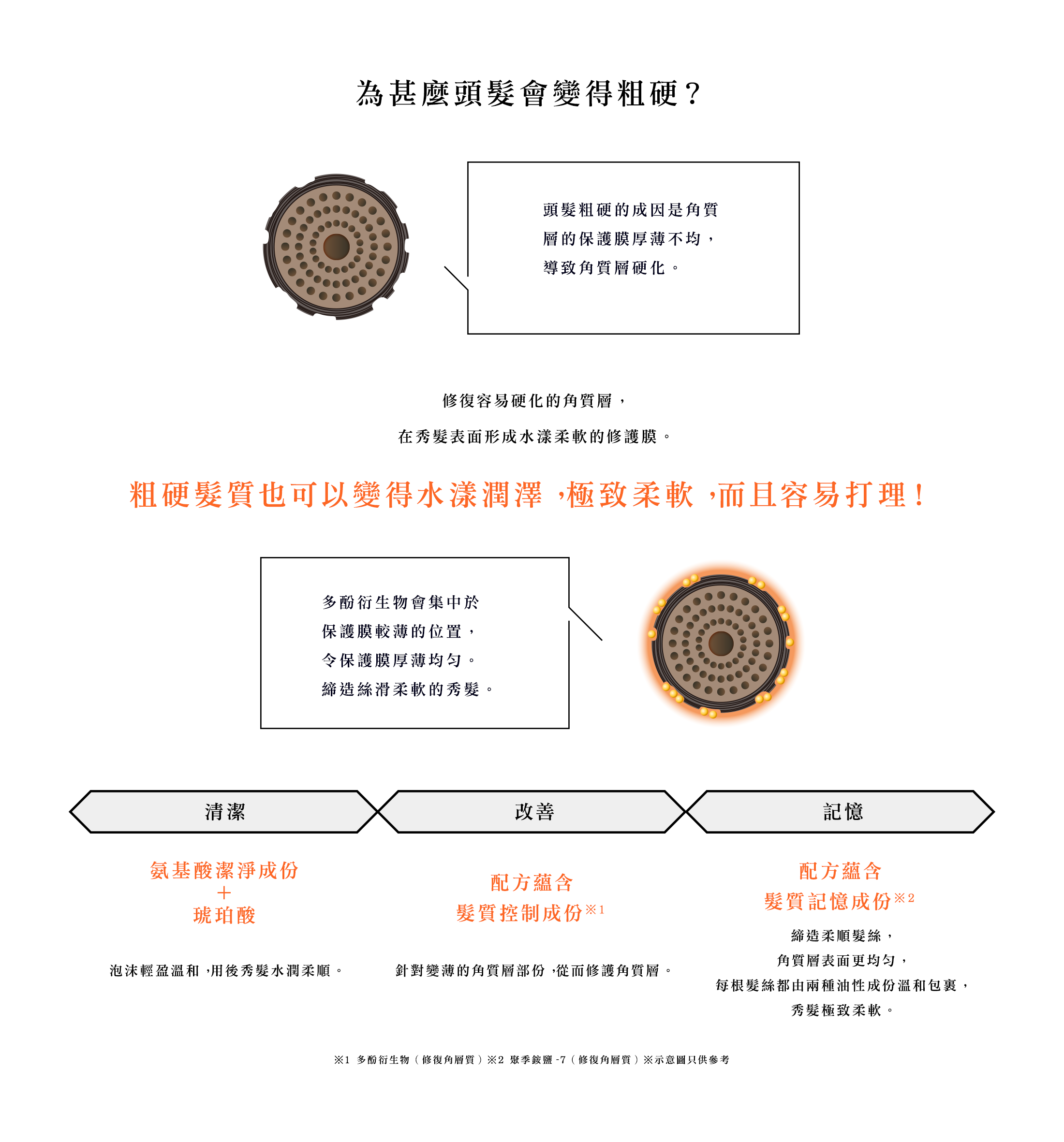 為甚麼頭髮會變得粗硬？