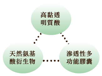 高密着ヒアルロン酸 - 浸透性多機能カプセル - 天然由来アミノ酸誘導体