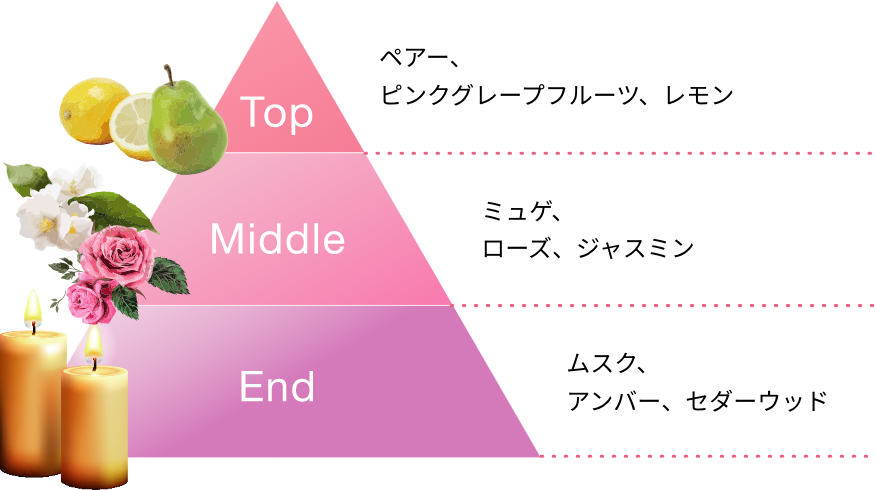 Top ペアー、ピンクグレープフルーツ、レモン / Middle ミュゲ、ローズ、ジャスミン / End ムスク、アンバー、セダーウッド